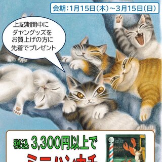 タカヤンさま専用です。（8月1日まで） 文教堂書店小倉台店（千葉県）／「猫のダヤンフェア」開催のお知らせ
